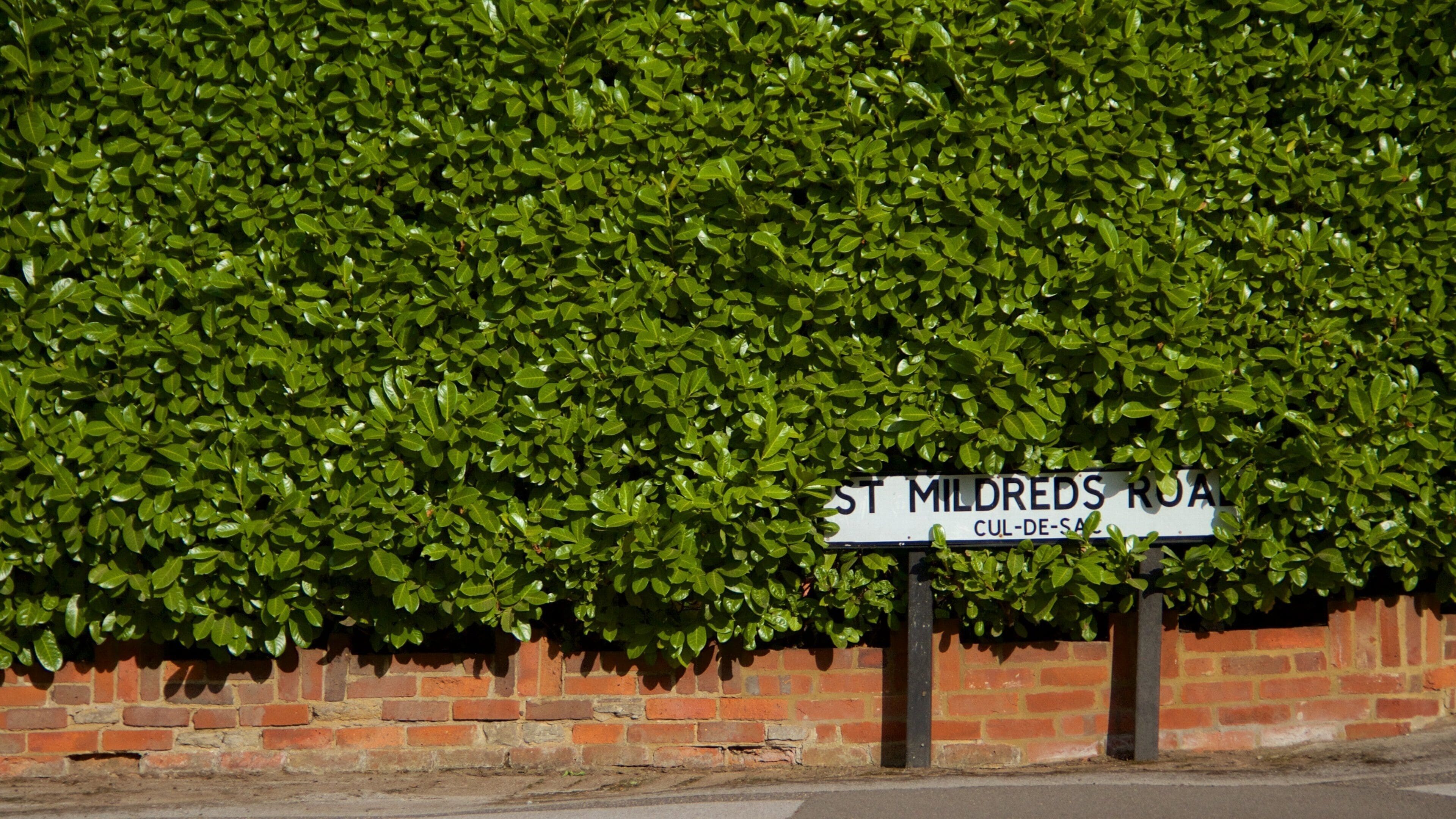 Guildford showing signage