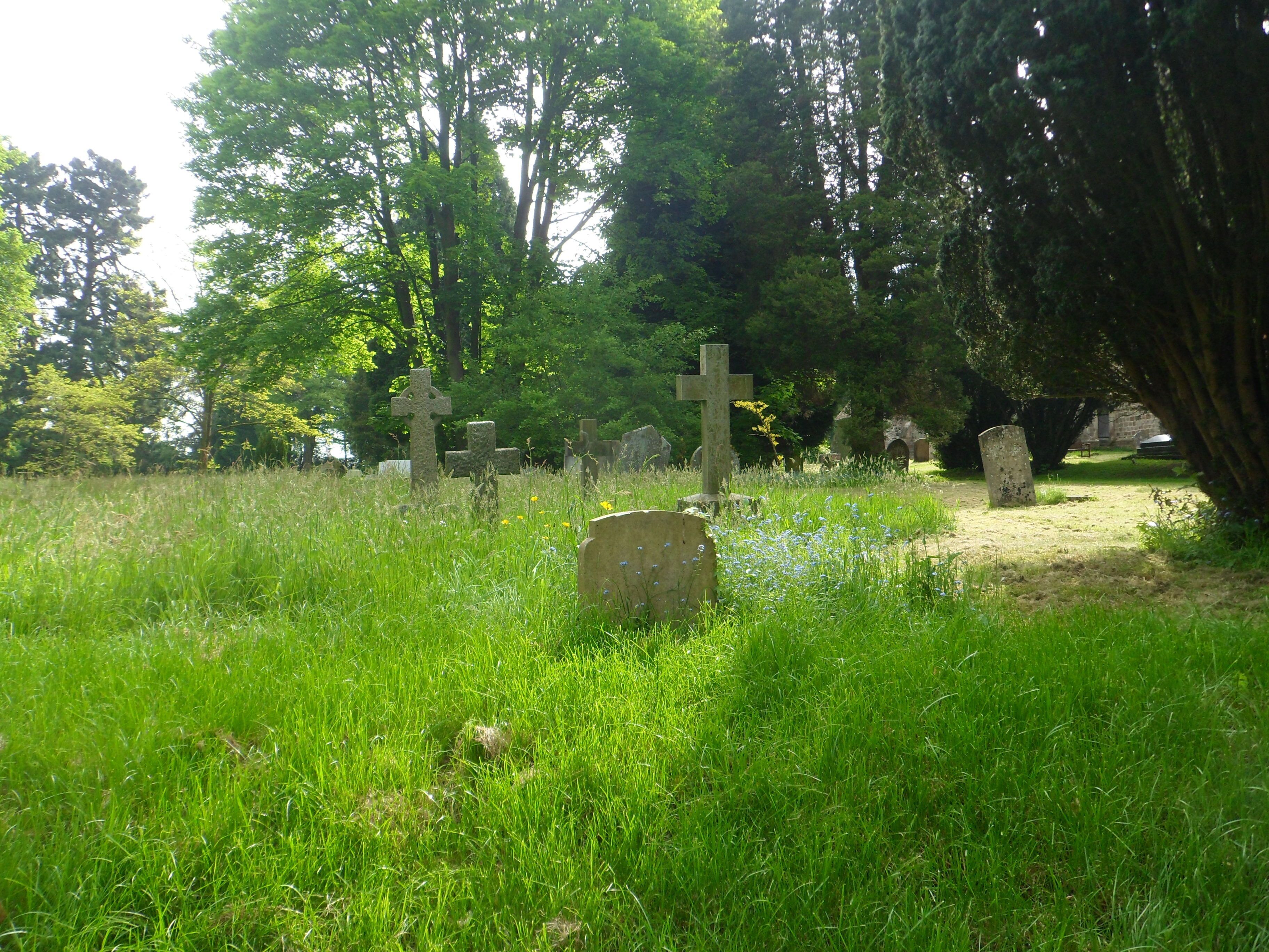 A cemetery with stone crosses and headstones, surrounded by lush greenery and trees.