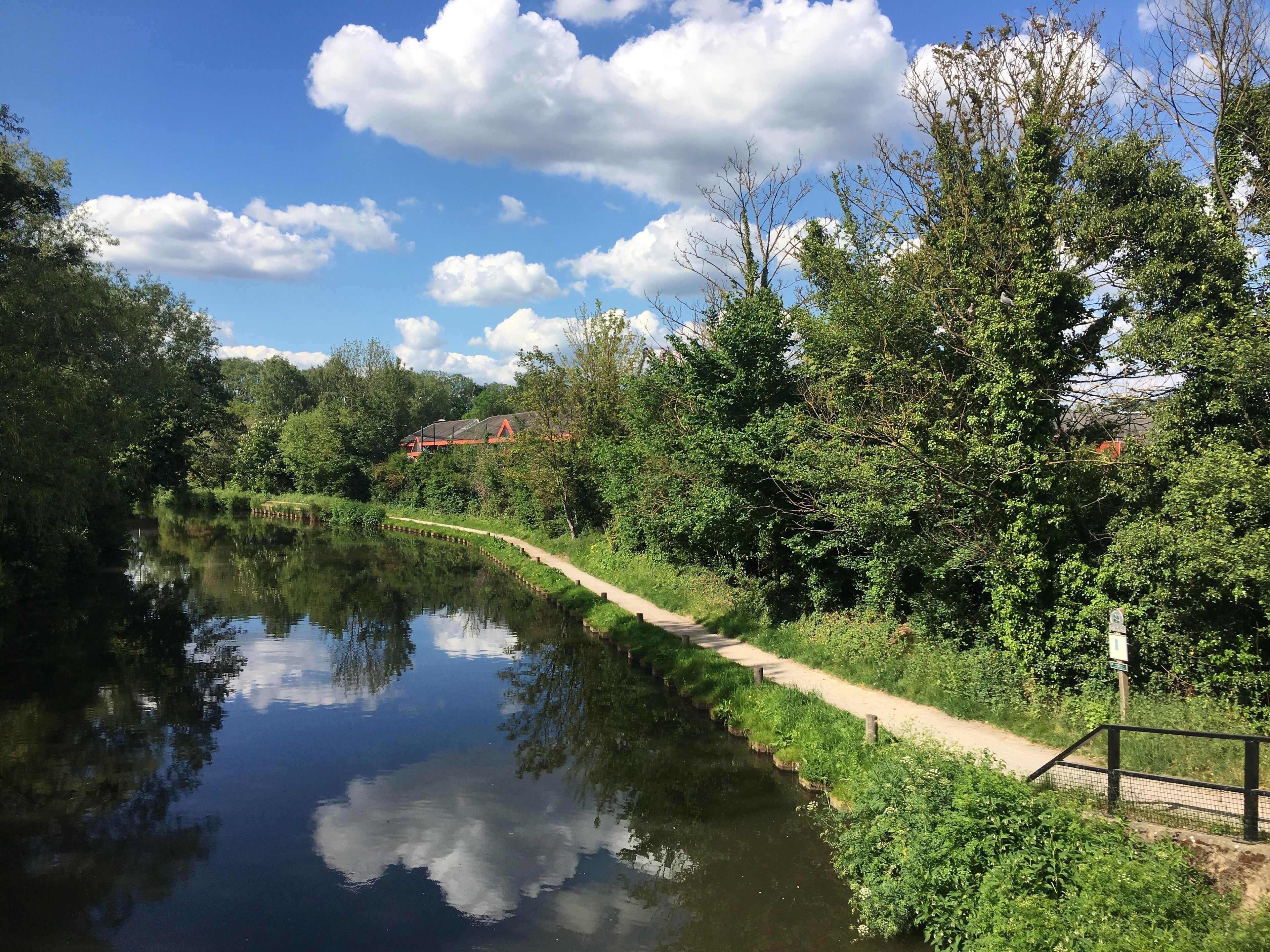 Beautiful walk along the river wey. 
Top tip: cycle all the way along the tow path to London from here, in a swift 5 hours! 

#obsessedwithblueskies
#nature