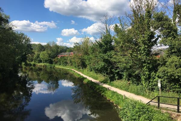 Beautiful walk along the river wey.
Top tip: cycle all the way along the tow path to London from here, in a swift 5 hours!
#obsessedwithblueskies
#nature