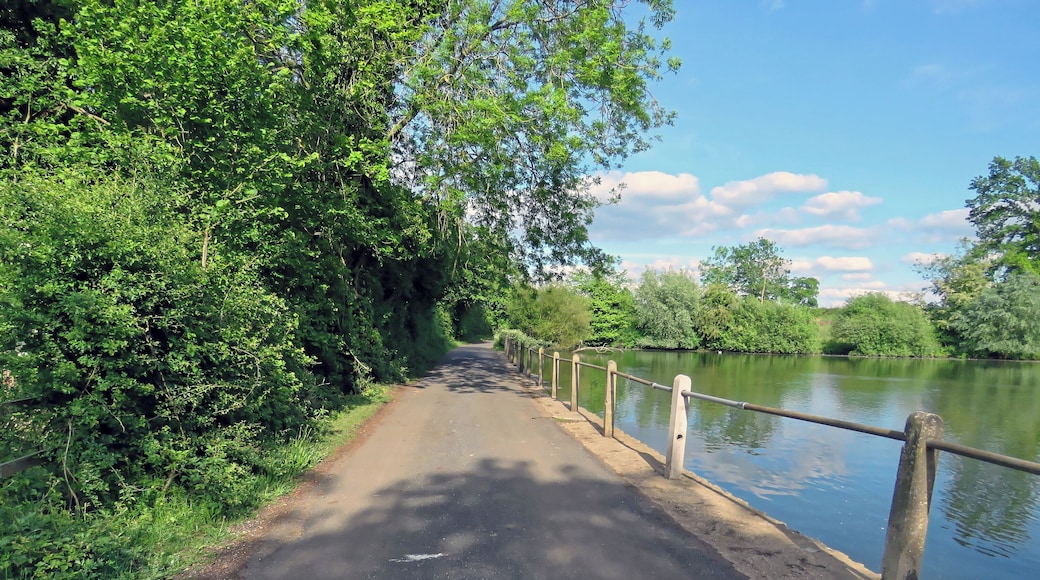 The access road running northeast away from St Mary's Parish Church, with concrete post and scaffolding barrier against an estate mid-19th-century artificial fishing lake, in the civil parish of Matching, in Essex, England. Camera: Canon PowerShot SX60 HS Software: File lens-corrected, optimized, perhaps cropped, with DxO OpticsPro 11 Elite, and likely further optimized with Adobe Photoshop CS2.