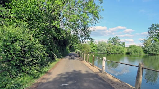 The access road running northeast away from St Mary's Parish Church, with concrete post and scaffolding barrier against an estate mid-19th-century artificial fishing lake, in the civil parish of Matching, in Essex, England. Camera: Canon PowerShot SX60 HS Software: File lens-corrected, optimized, perhaps cropped, with DxO OpticsPro 11 Elite, and likely further optimized with Adobe Photoshop CS2.