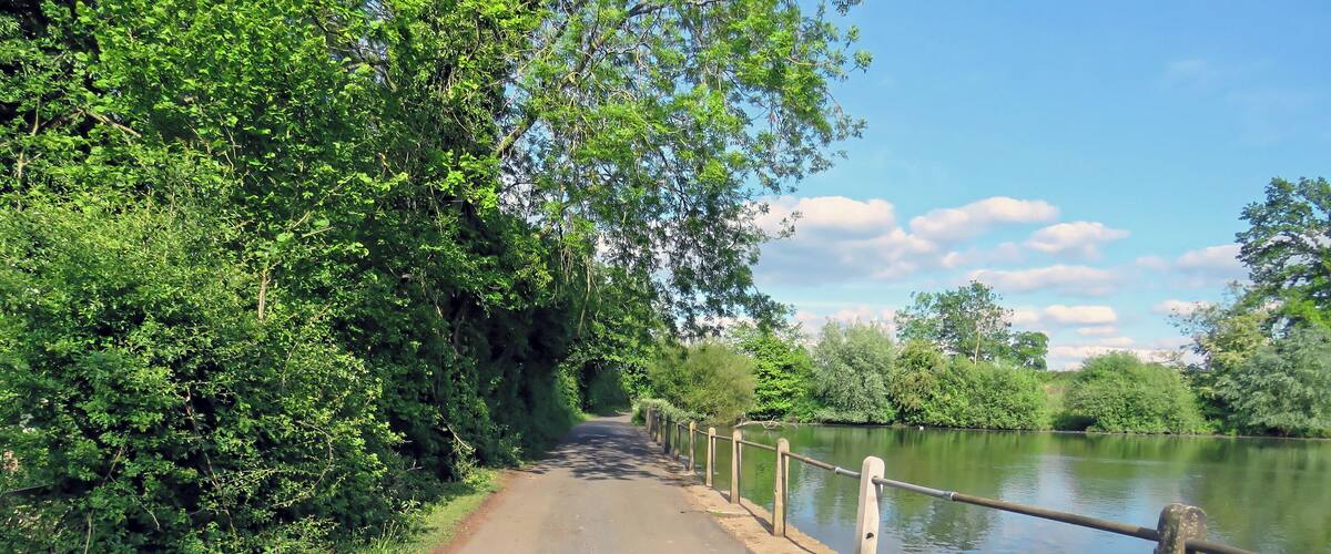 A paved pathway alongside a calm river, bordered by dense greenery and a wooden fence.