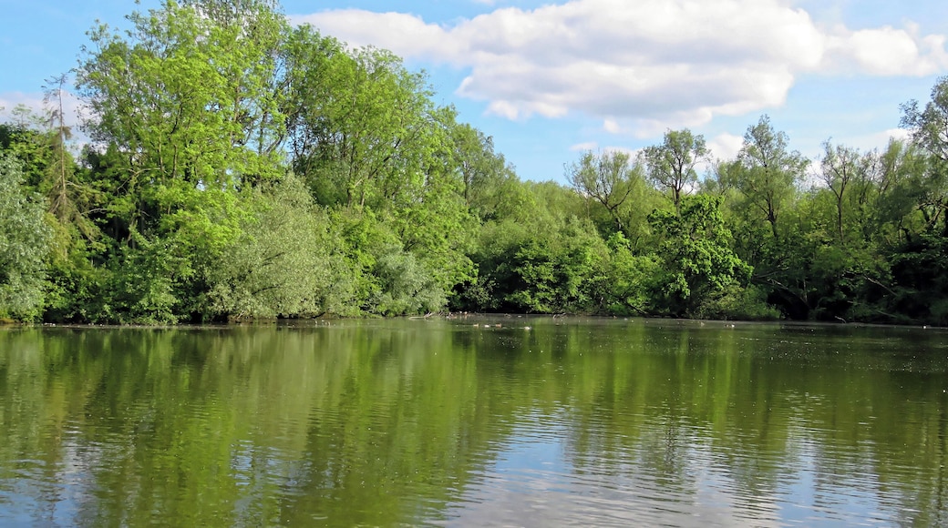 Man-made 19th-century fishing lake to the north-east of St Mary's Parish Church in the civil parish of Matching, in Essex, England. Camera: Canon PowerShot SX60 HS Software: File lens-corrected, optimized, perhaps cropped, with DxO OpticsPro 11 Elite, and likely further optimized with Adobe Photoshop CS2.