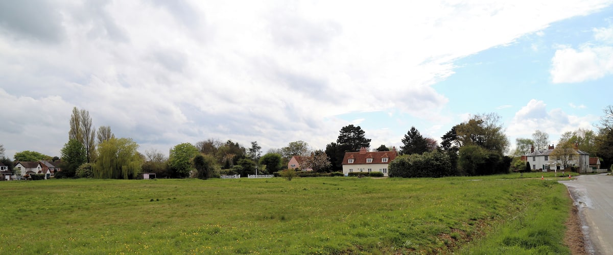 A rural landscape with a grassy field, a road, and several houses with red roofs.