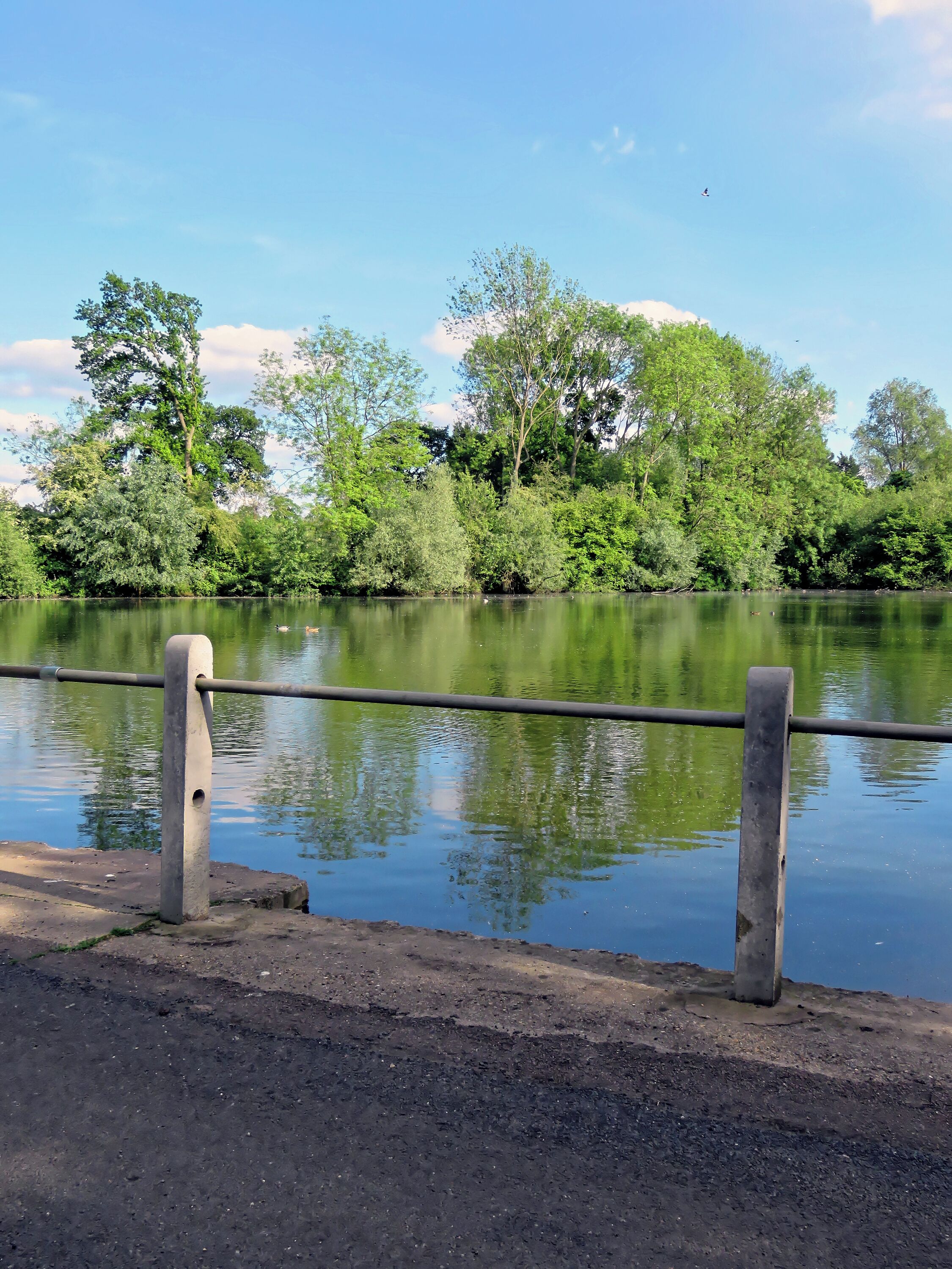A concrete post and scaffolding barrier at between an access road and an estate mid-19th-century artificial fishing lake to the north-east of St Mary's Parish Church in the civil parish of Matching, in Essex, England. Camera: Canon PowerShot SX60 HS Software: File lens-corrected, optimized, perhaps cropped, with DxO OpticsPro 11 Elite, and likely further optimized with Adobe Photoshop CS2.