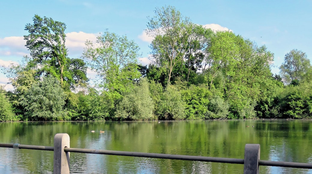 A concrete post and scaffolding barrier at between an access road and an estate mid-19th-century artificial fishing lake to the north-east of St Mary's Parish Church in the civil parish of Matching, in Essex, England. Camera: Canon PowerShot SX60 HS Software: File lens-corrected, optimized, perhaps cropped, with DxO OpticsPro 11 Elite, and likely further optimized with Adobe Photoshop CS2.