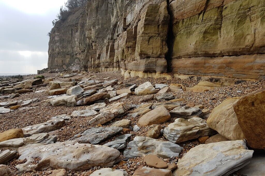 Pett Level is located on the South East coast of England and is a 'Site of Special Scientific Interest' - A 5000 year old forest!

At low tide on this beach you can see tree roots, trunks and branches of this ancient forest.

After the last Ice Age, sea level was lower than it is today and the forest began growing on what was dry land. As the climate warmed the ice began melting and the sea level rose, claiming the land the forest was on. The trees and roots became preserved below the water in the mud.

Due to the sea level rising the forest is becoming exposed again where the tide has worn the mud away. Its a fascinating place to visit at low tide.