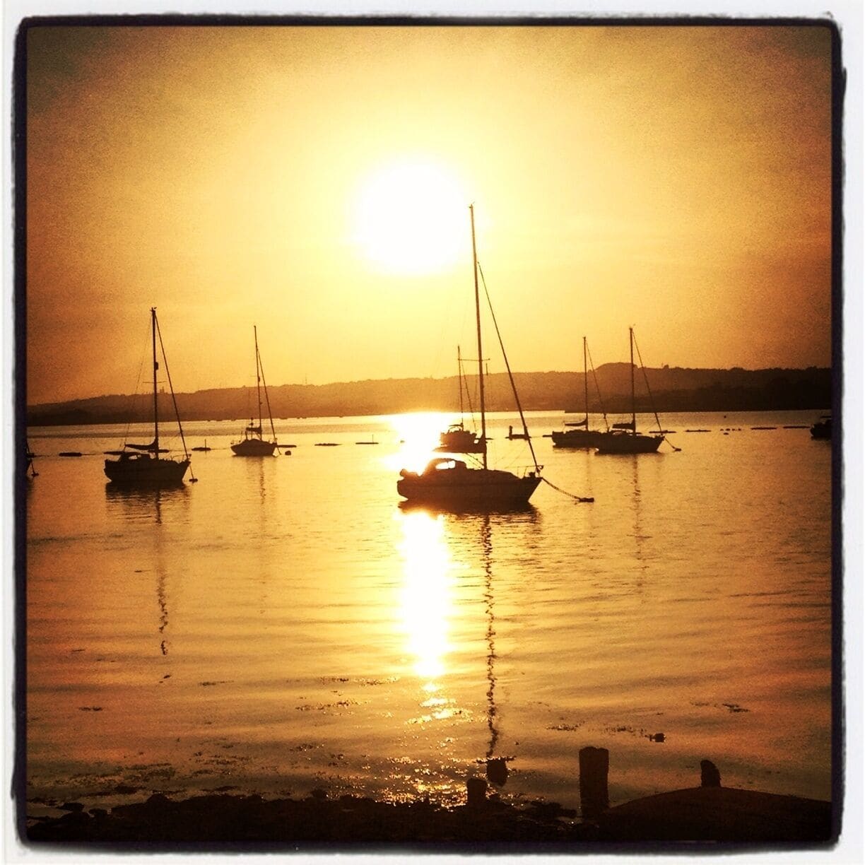 Taken from the Hayling Billy Line on a wonderful sunny evening 
