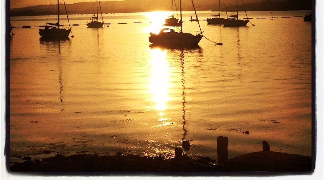 Taken from the Hayling Billy Line on a wonderful sunny evening