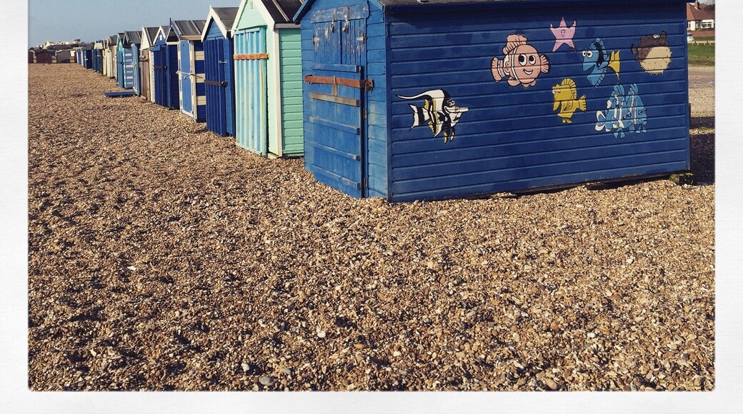Fabulous beach for walking Flynn, our rescue 😊