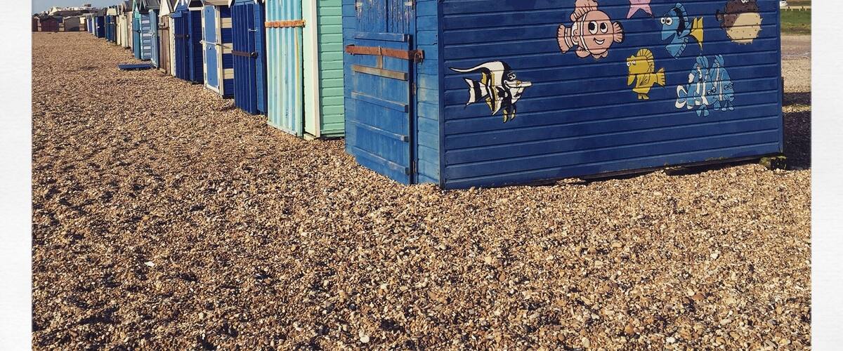 Fabulous beach for walking Flynn, our rescue ๐