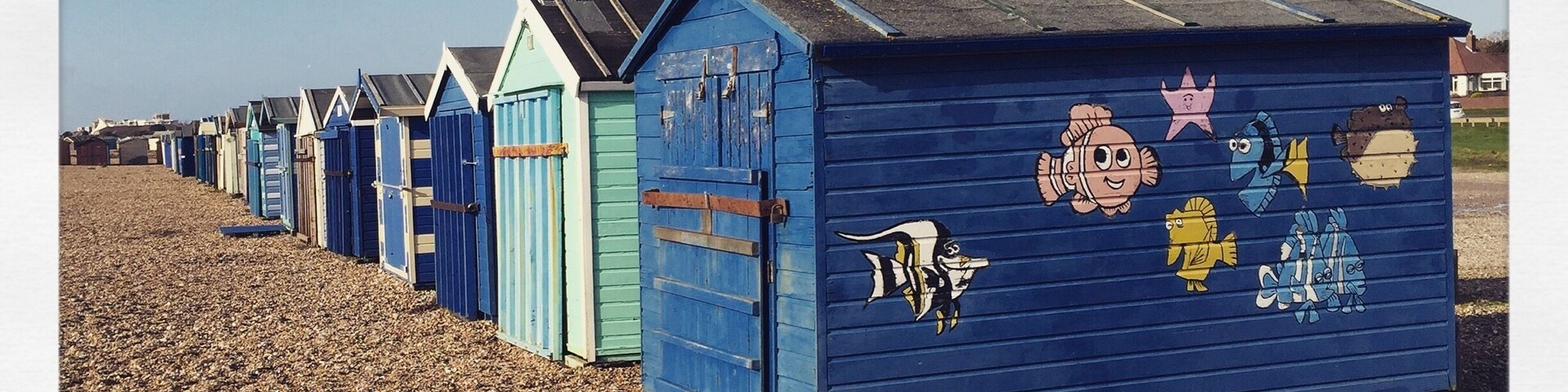 Fabulous beach for walking Flynn, our rescue 😊