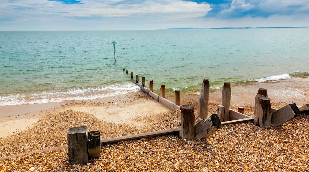 A pebble beach with a wooden jetty leading into the sea under a cloudy sky.