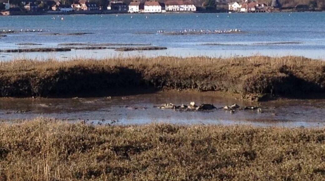 View across the water of The Ship Inn & The Mill from the Langstone Marina on a glorious February afternoon.