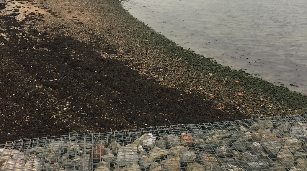 Looking south towards #Hayling