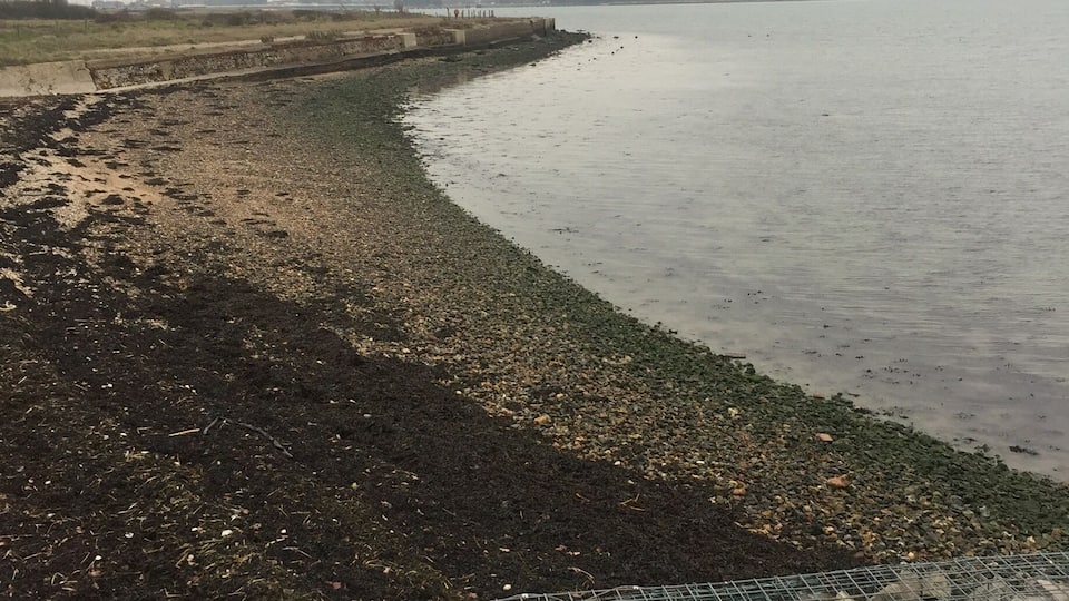 Looking south towards #Hayling