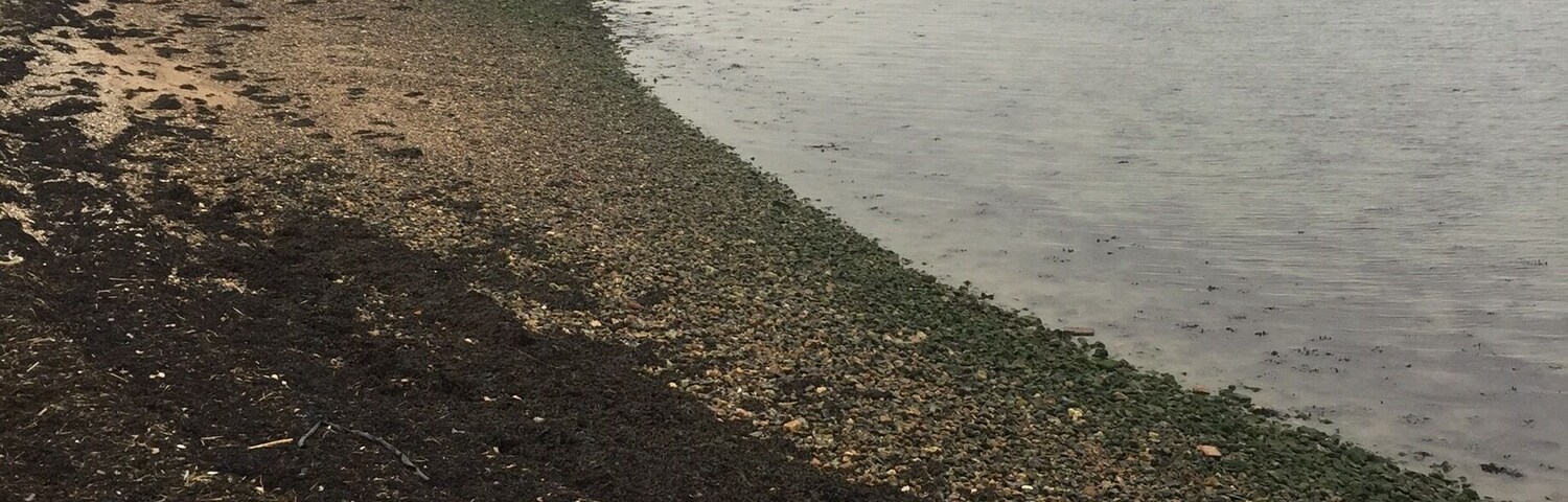 Looking south towards #Hayling