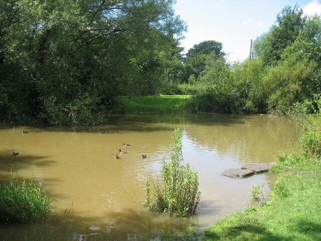 Pond, Sankey Valley Pond to the rear of the Ship Inn, Sankey Valley Park.
