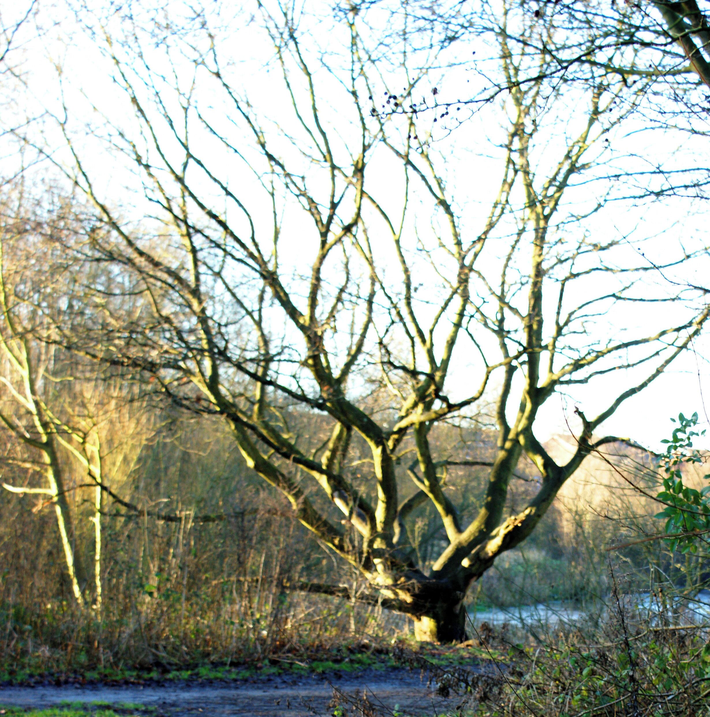 Sankey Valley Park