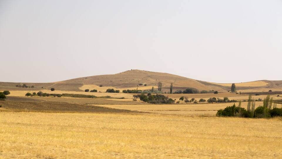 A dry grassland with a hill in the background.