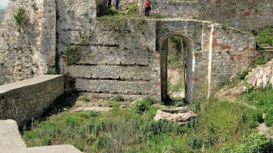 Here we are in Boztepe out of Unye. If you really want to do yourself a favour you'll stop thinking about getting to your destination and you'll take time out to find a place less visited. #ruins