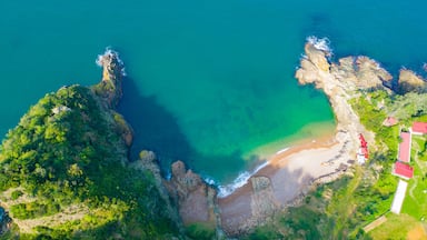 An aerial view of a coastal area with a clear beach, rocky cliffs, and lush greenery.