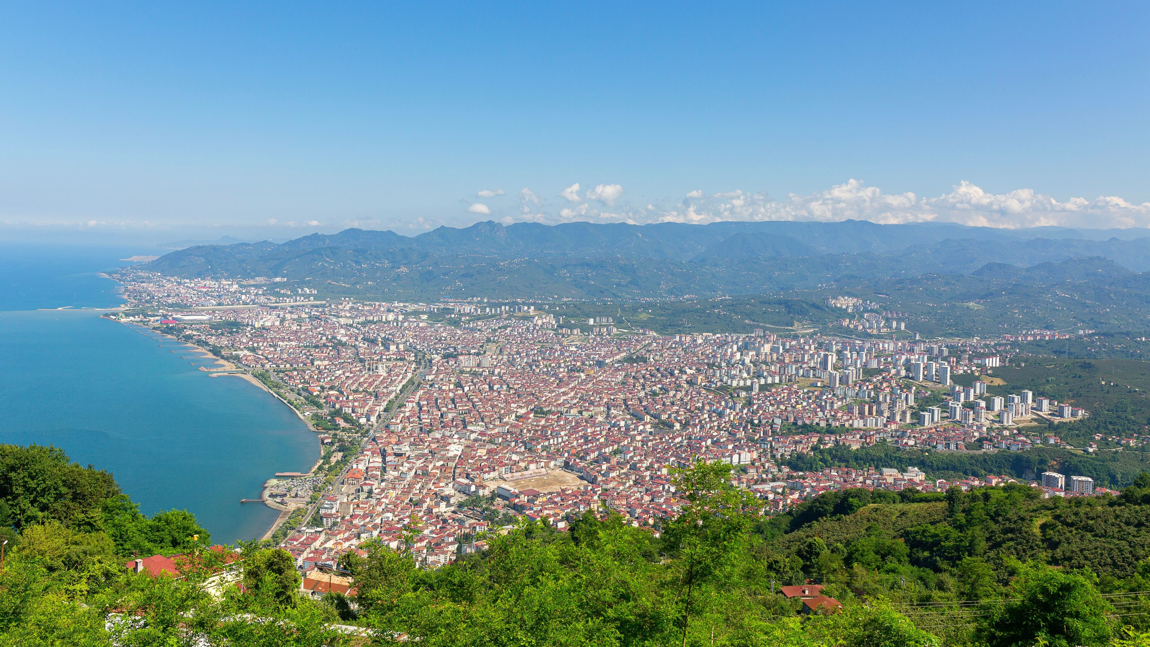Ordu