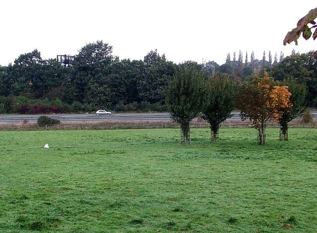 A grassy field with a few trees and a road in the background.