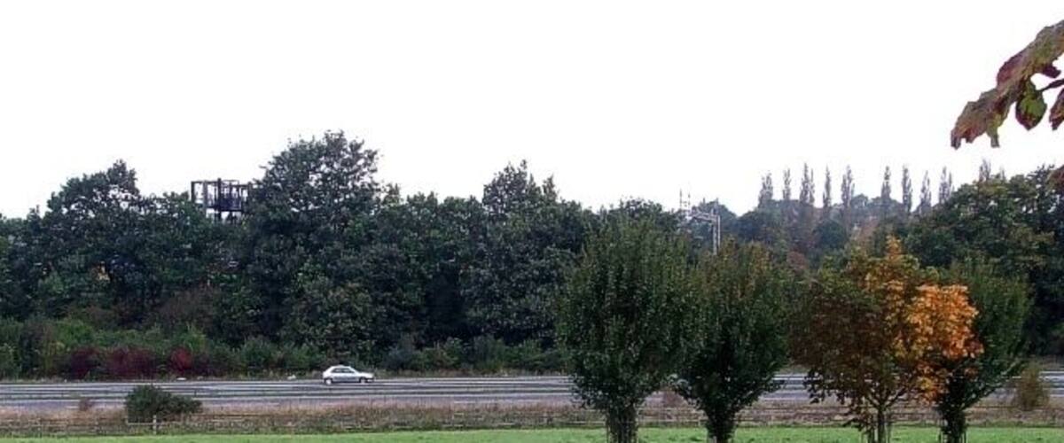 A grassy field with a few trees and a road in the background.