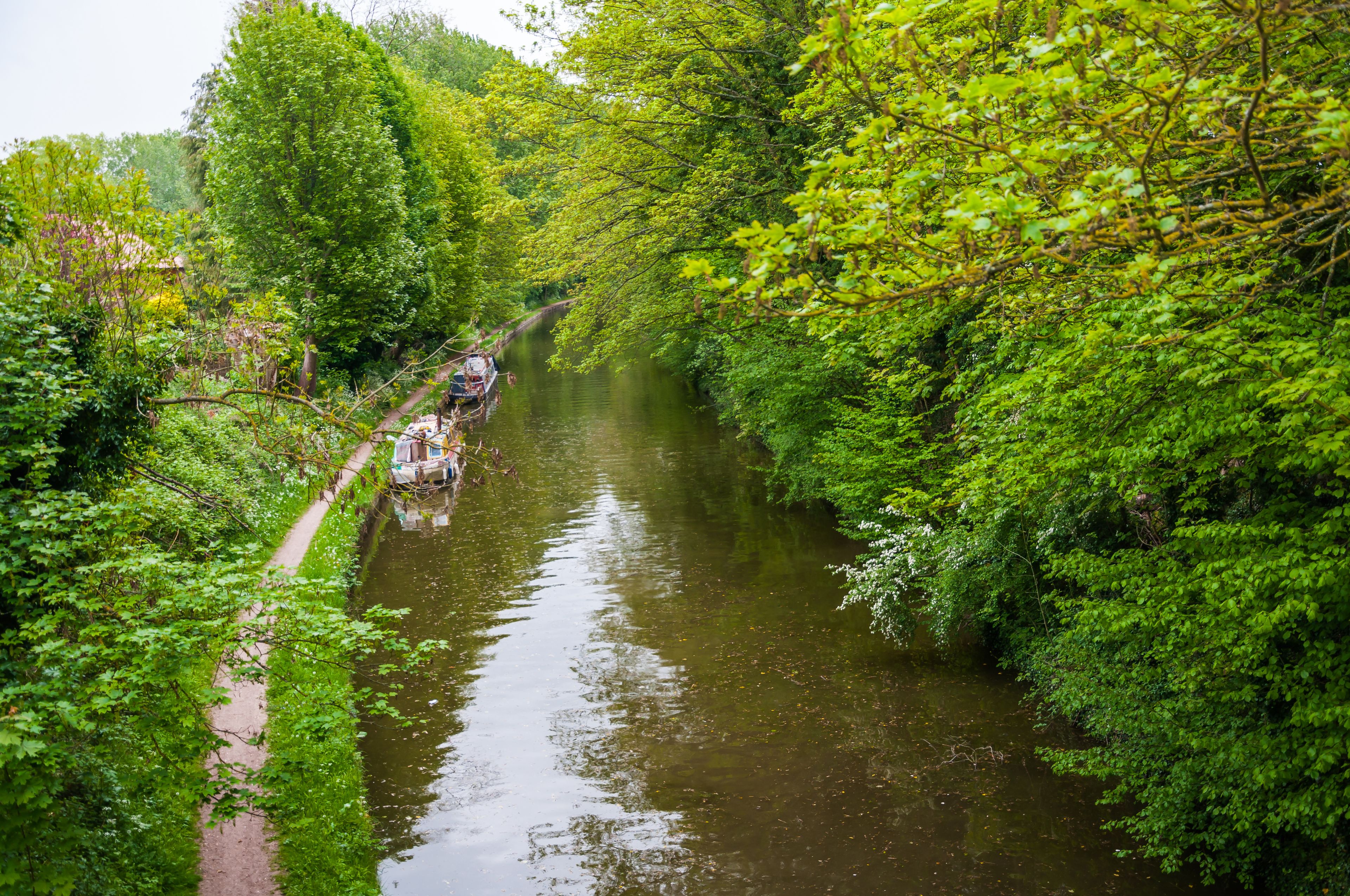 Een smalle waterweg langs weelderige begroeiing, met een boot aan de linkerkant afgemeerd.