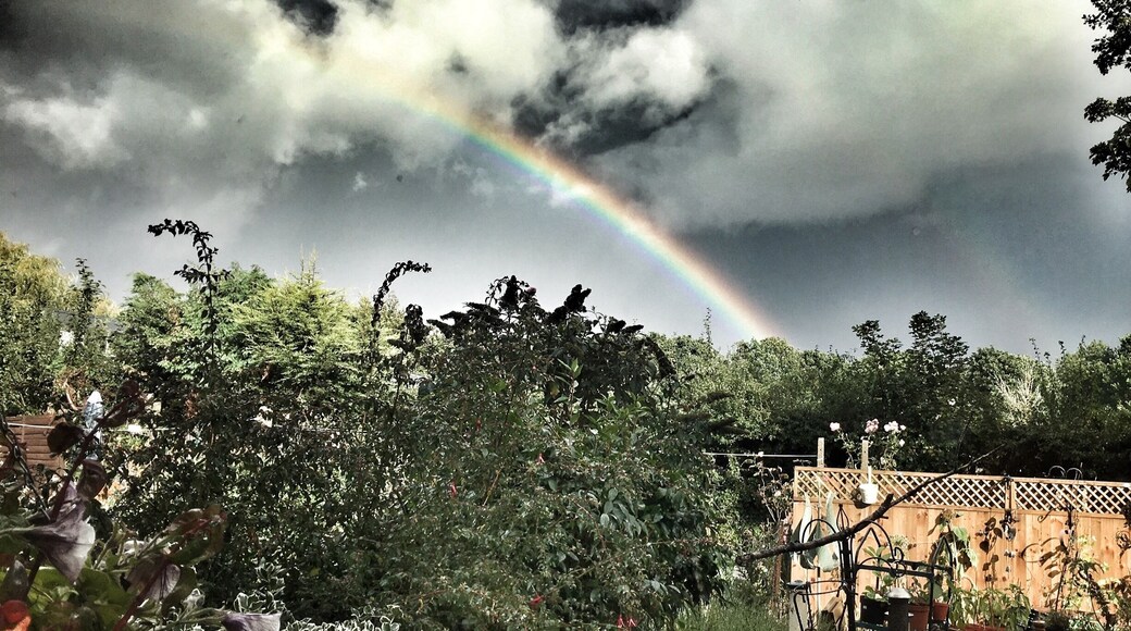 My back garden after a storm with a rainbow brightening the sky