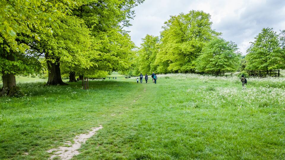 Hertfordshire, UK, May 18, 2019. Tring Park - Hertfordshire. Tring Park is an import wildlife. Then rare chalk grassland is designated as a site os special scientific interest.