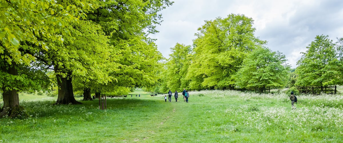 Hertfordshire, UK, May 18, 2019. Tring Park - Hertfordshire. Tring Park is an import wildlife. Then rare chalk grassland is designated as a site os special scientific interest.