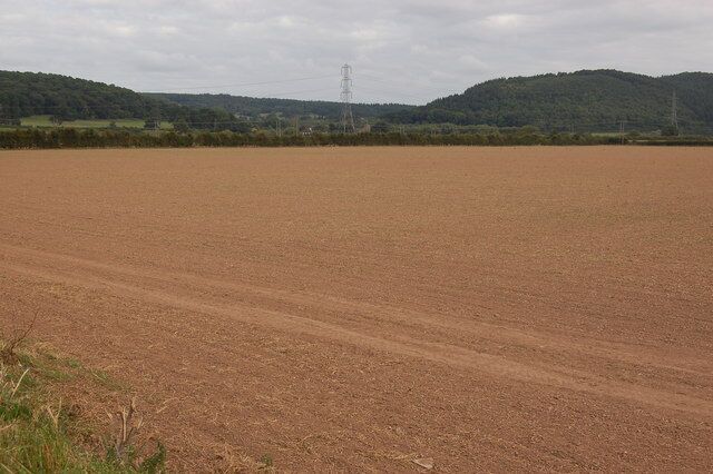 Field after harvesting near Hampton Bishop