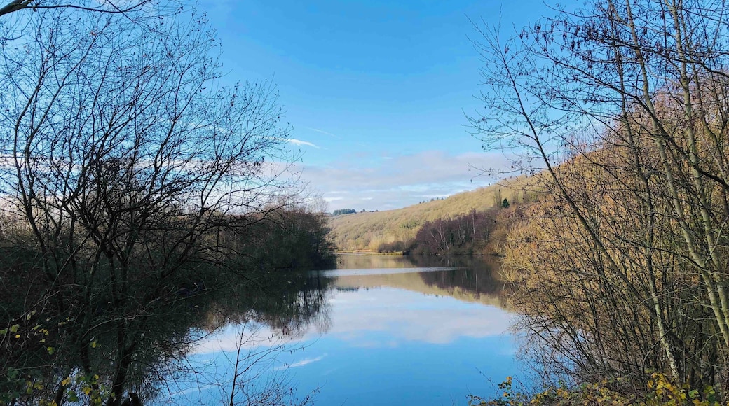 Beautiful day out at Bodenham Lakes nature reserve.
#Herefordshire
#rambling
#hikinguk