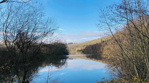 Beautiful day out at Bodenham Lakes nature reserve.
#Herefordshire
#rambling
#hikinguk