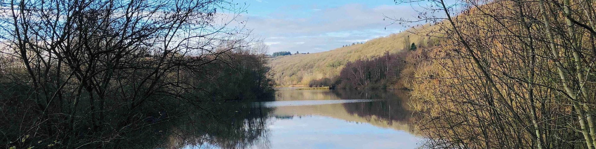 Beautiful day out at Bodenham Lakes nature reserve.
#Herefordshire
#rambling
#hikinguk