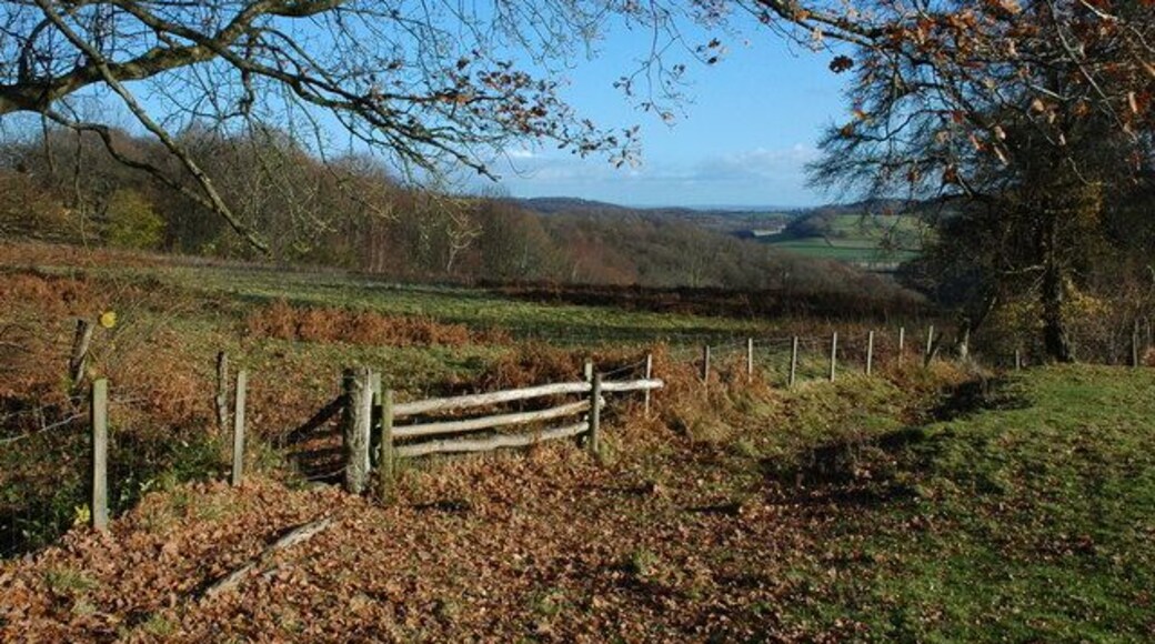 Fields beside Blackpool Wood View to the east into the Golden Valley from beside Blackpool Wood