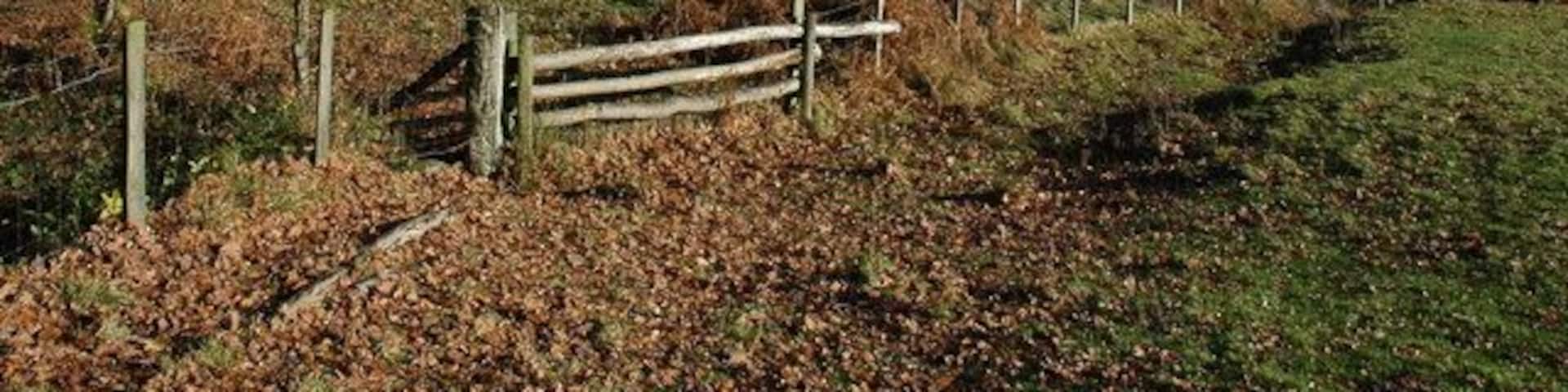 Fields beside Blackpool Wood View to the east into the Golden Valley from beside Blackpool Wood