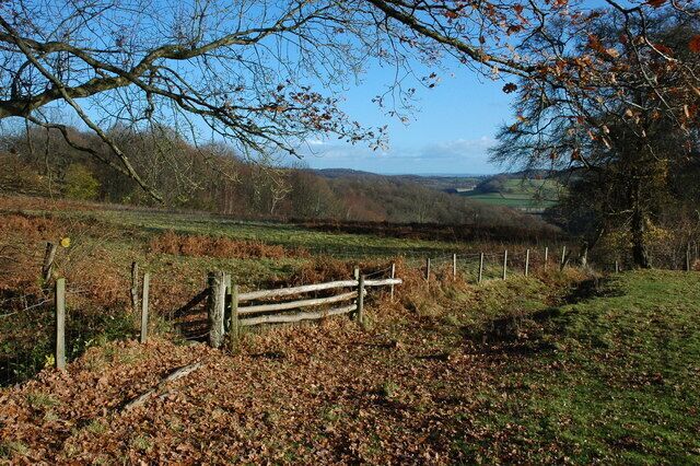 A rural landscape with a wooden fence, leaf-covered ground, and distant hills.