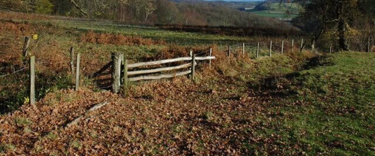 A rural landscape with a wooden fence, leaf-covered ground, and distant hills.