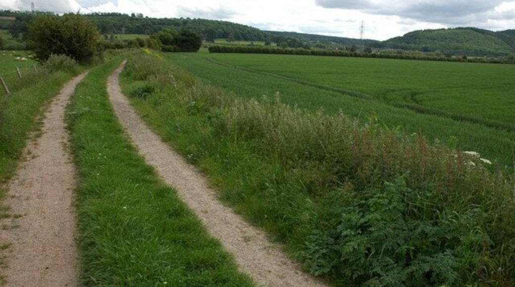 Farm track at Hampton Bishop This farm track is along a defensive flood bank to the east of Hampton Bishop. The Wye Valley Walk and the Three Choirs Way follows this track. The wooded hills in the background are to the east of Mordiford.