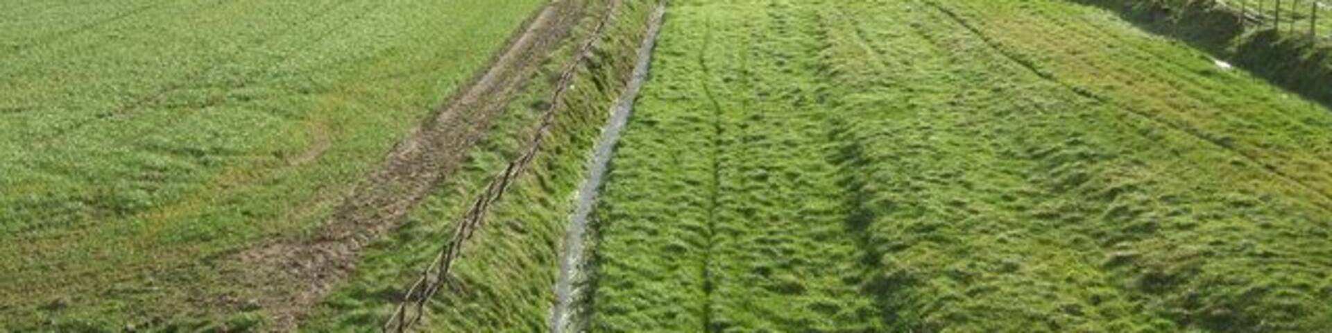 Golden Valley Line This small line formed a link between Pontrilas and Hay and was built in the late 19th century. It closed in 1957. See: http://www.smr.herefordshire.gov.uk/post-medieval/railways/golden_valley