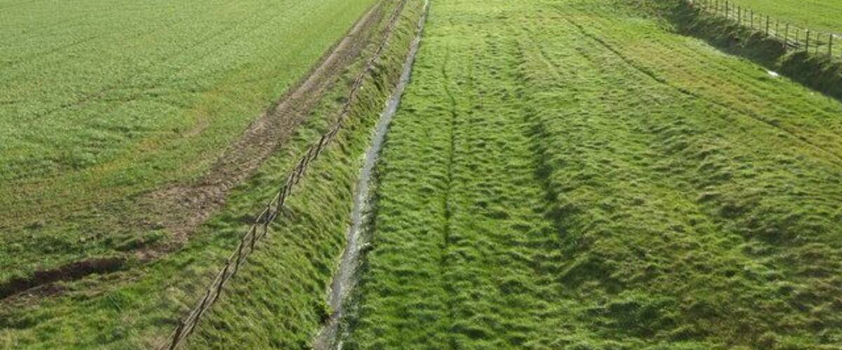 A rural landscape with a field, a fence, and a tree line.