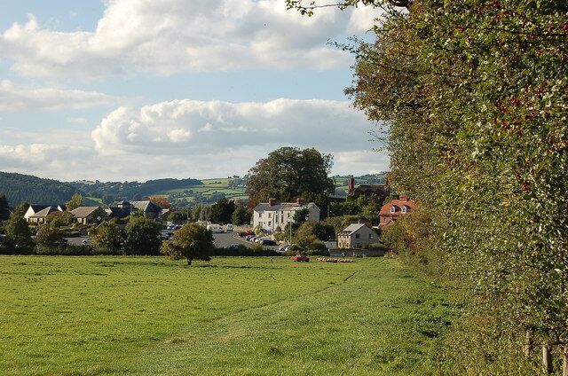 A rural landscape with a green field, a large tree, and a cluster of houses in the background.