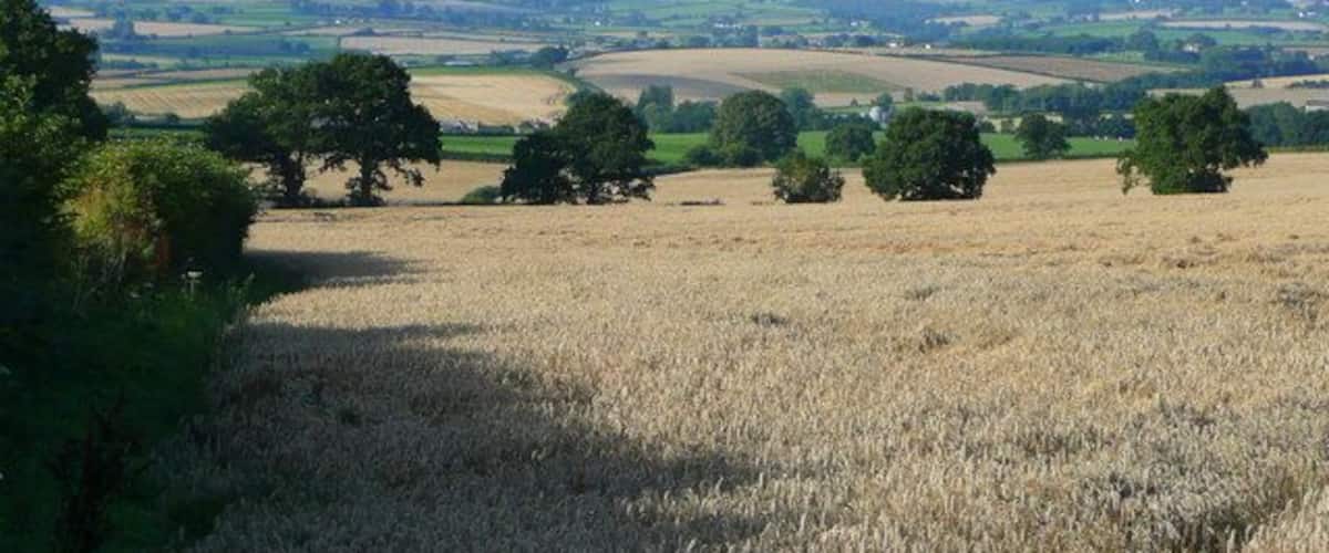 South Herefordshire countryside Predominantly arable land looking south from near Gillow Manor.
