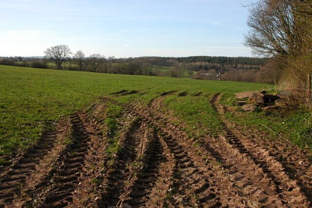 Farmland to the west of Bacton