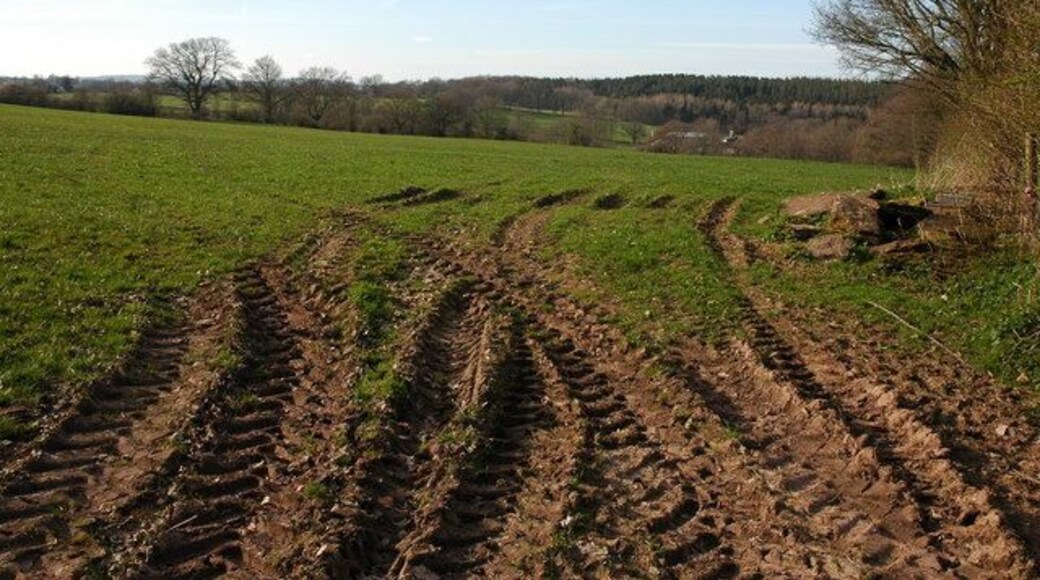 Farmland to the west of Bacton