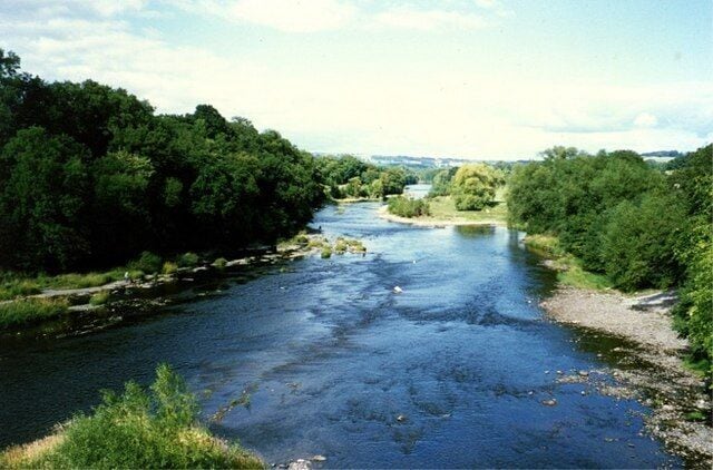 A river flowing through a forested area with dense trees on both sides.